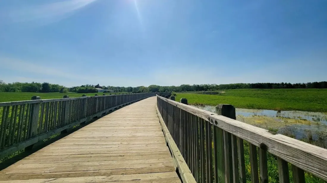 Pine Dunes Forest Preserve: A Quiet Wetland Escape Halfway Between Chicago and Milwaukee