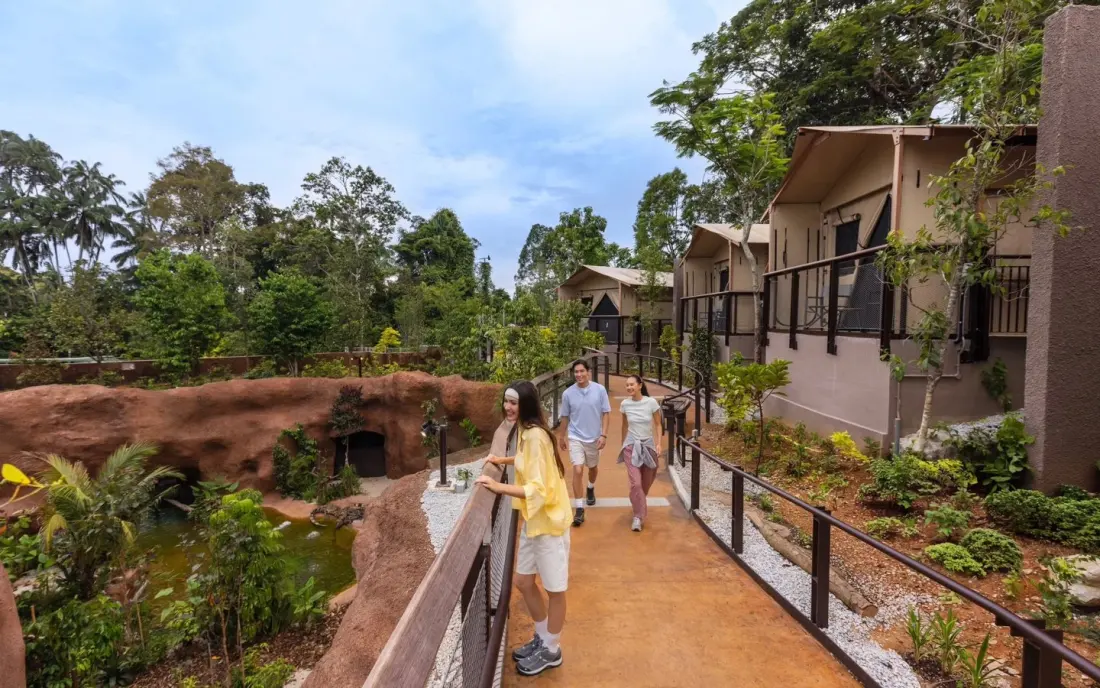 Padel courts, forest bathing and beachside omakase: Singapore's fresh outdoor line-up