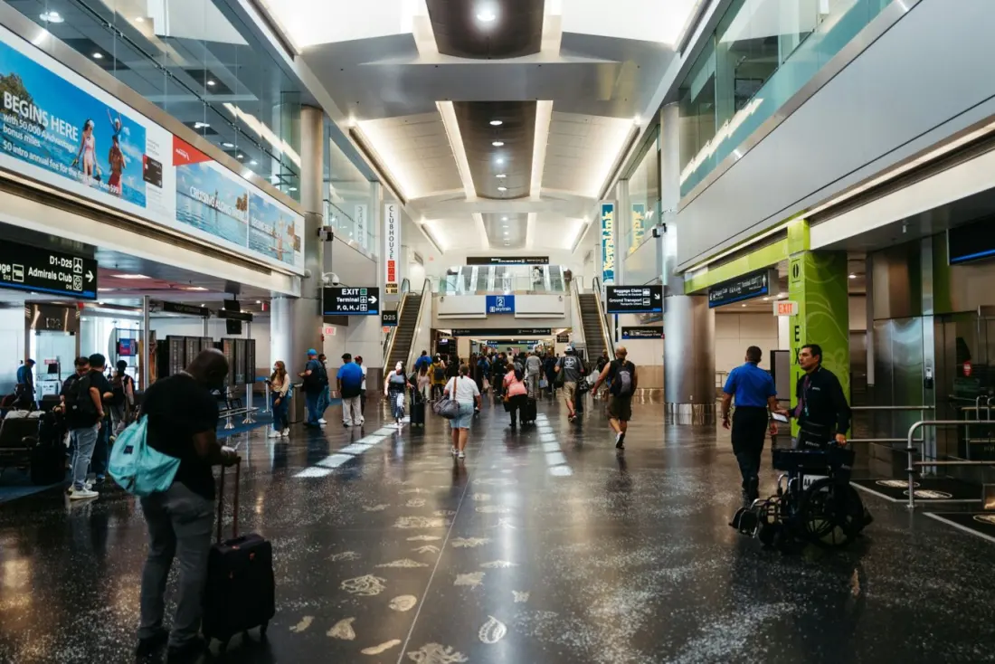 Ten live birds, six stitched tubes: US customs busts underwear smuggling attempt at Miami Airport