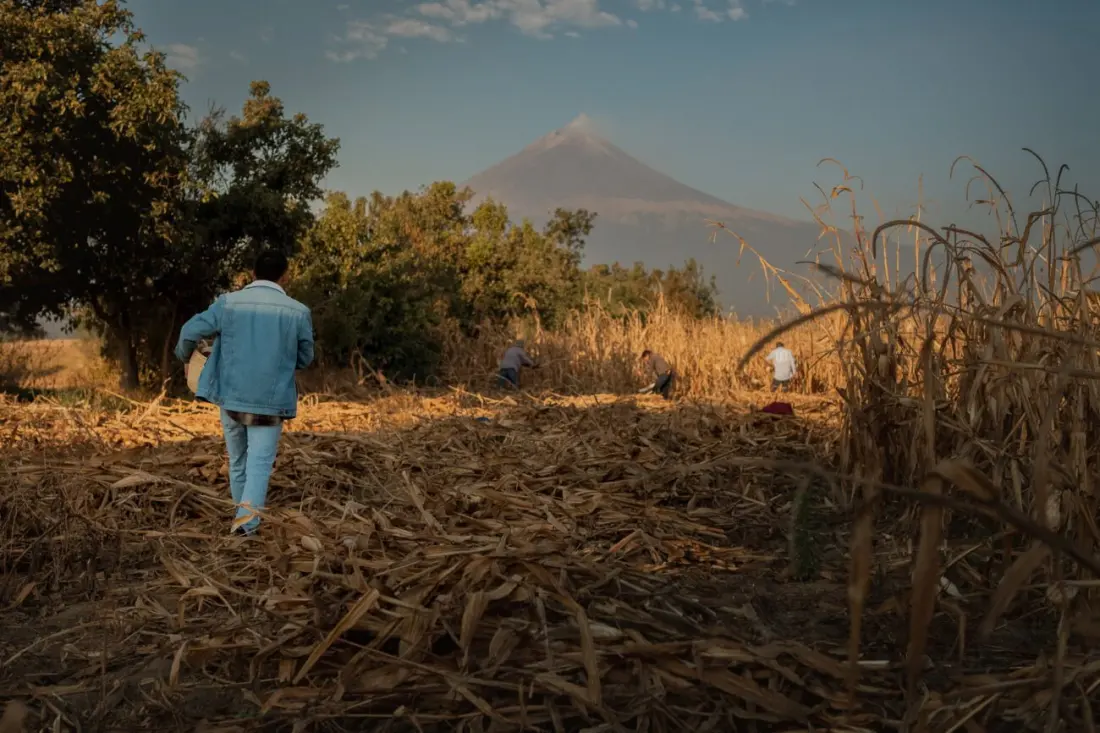 Puebla Beyond the City: Why Chef Gustavo Macuitl Says the Real Food Trip Starts Outside Town