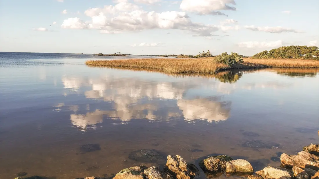 Bird Creek Beach: Florida's Quiet Gulf Coast Park Where Entry and Parking Are Free