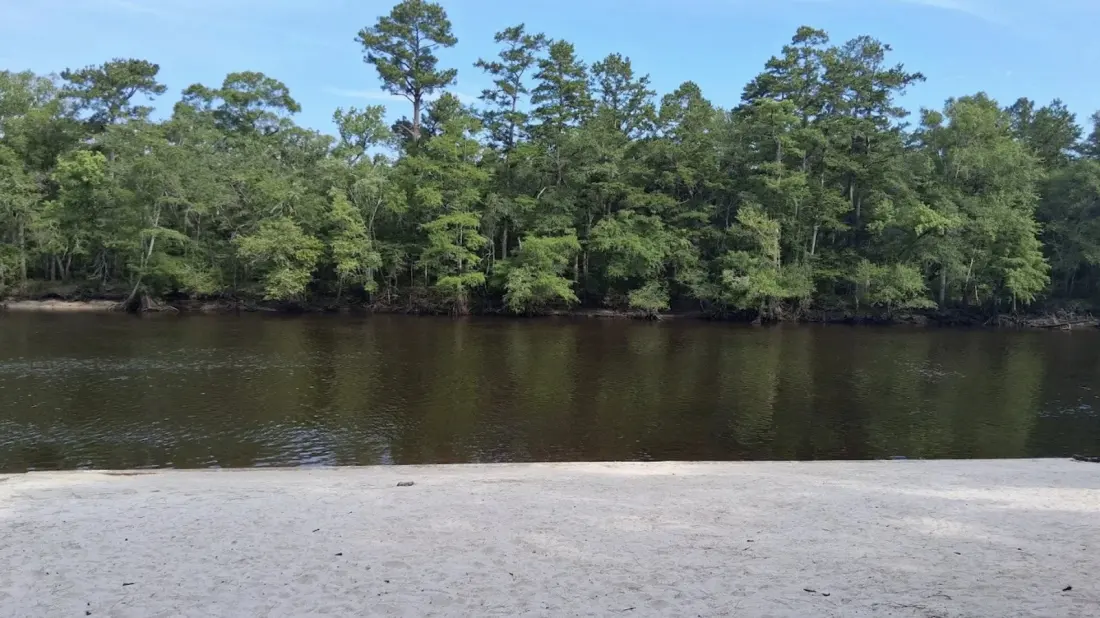 Givhans Ferry State Park: Charleston's Easy River Escape for Swimming, Tubing and Camping