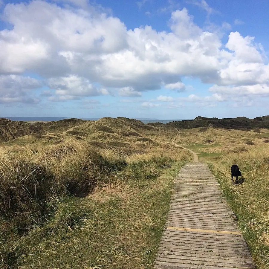 A £13bn data centre could cost North Devon its UNESCO Biosphere status — and its tourism pull