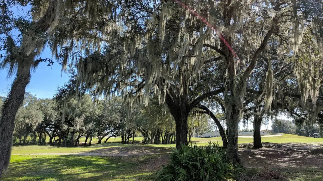 Hálpata Tastanaki Preserve: Central Florida's 8,000-Acre Wetland Escape Between Gainesville and Tampa