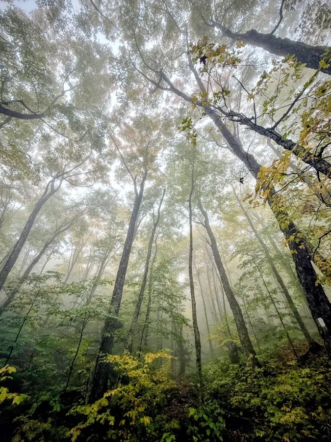 Seventeen Miles From Canada: A Long Trail Thru-Hike Enters Its Final Days