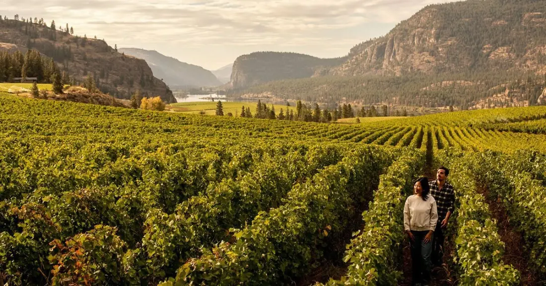 Three Days Through the Okanagan: Wine, Rail Trails and Canada's Only Desert