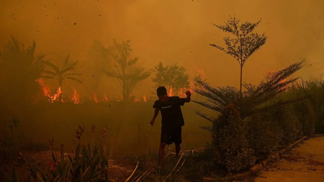 Borneo's wildfires are pushing orangutans to the edge — what travellers should know