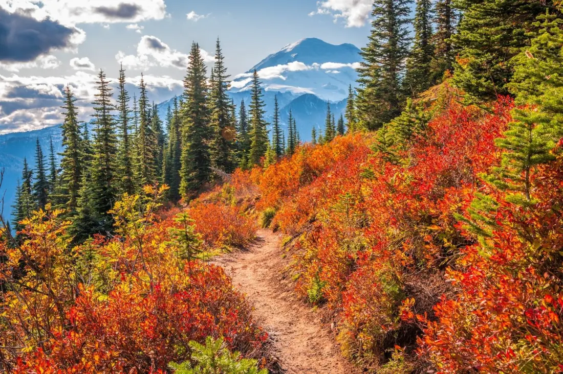 Where and When to Catch Peak Fall Foliage Across the US in 2026