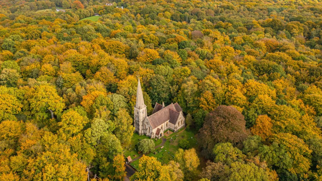 Epping Forest: Ancient Royal Hunting Grounds an Hour from Central London