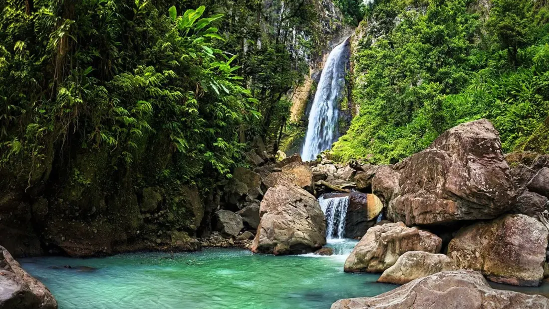 Dominica's Fort Young Hotel Reinvents the All-Inclusive With the Island Included
