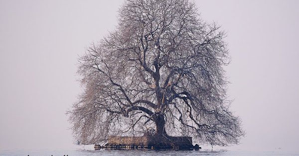Île de Peilz: Lake Geneva's Tiny Island With a Poetic Past