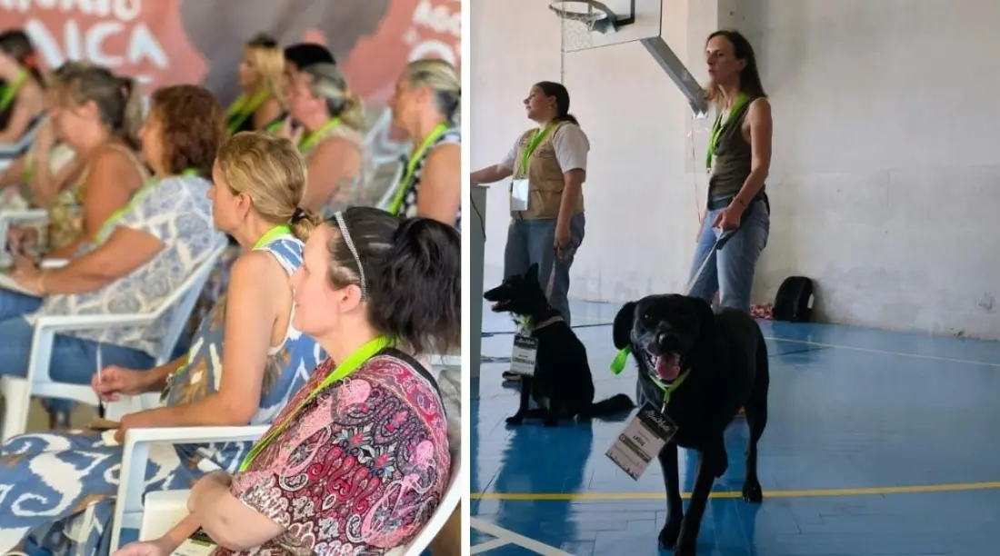 In Barcelos, doctors are swapping prescriptions for walks, swimming and therapy dogs