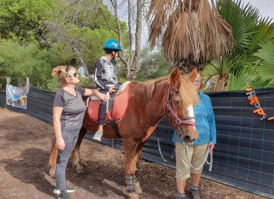 Spare a Friday? Almancil pony therapy sessions need volunteers
