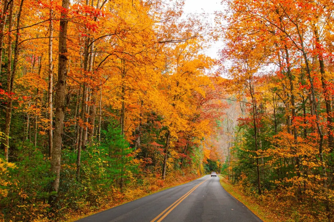 Leaf-Peeping Season Is Coming: When Fall Color Peaks in 12 US National Parks