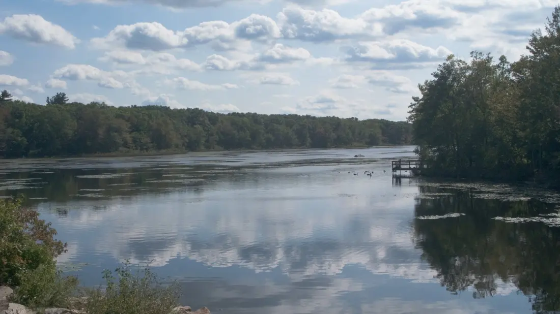 Pond Meadow Park: The Quiet 320-Acre Escape Just Outside Boston