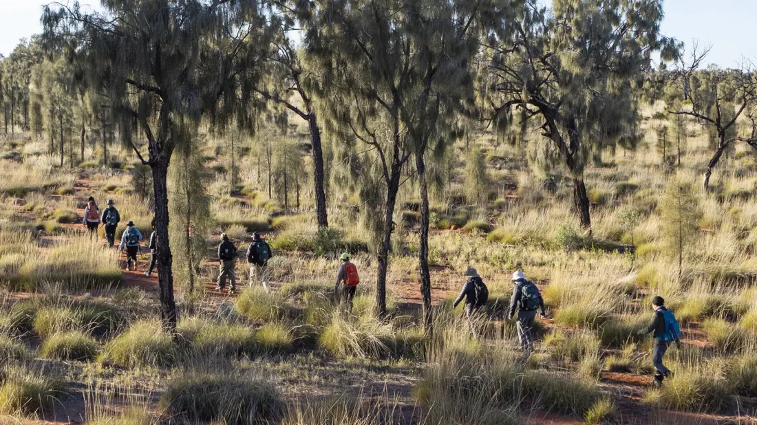Walking the new Uluṟu Kakararra Trail: four days between Kata Tjuṯa and Uluṟu
