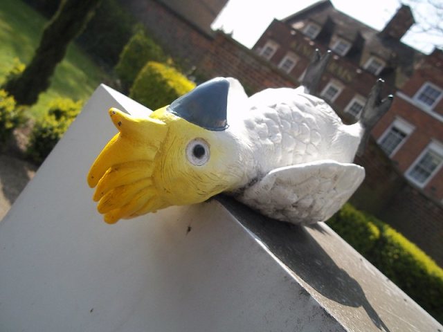 London's Strangest Small Landmarks, From a Dead Parrot Memorial to the Cornhill Devils