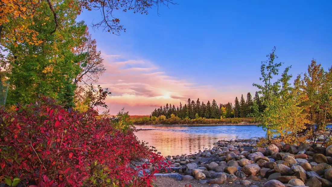 Calgary this week: musicals, murder mysteries and a kitchen party on the Bow (Oct 13-16)