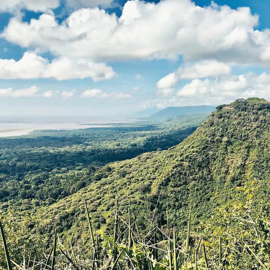Mto wa Mbu: the Tanzanian farm town worth stopping for on the safari circuit