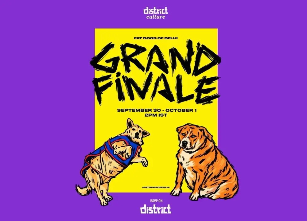 Delhi crowns its fattest dog as Fat Dogs of Delhi contest goes viral