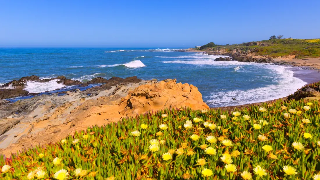 Bean Hollow State Beach: tide pools, tafoni rocks and quiet fishing on California's Highway 1