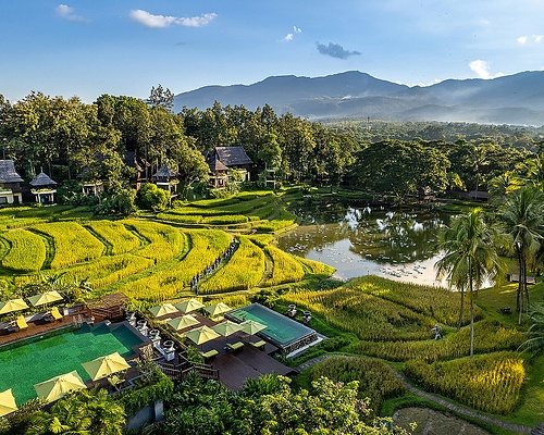 Four Seasons launches multi-stop curated itineraries across Japan, Thailand and Hawaii