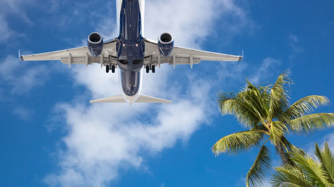 Five Souvenirs That Will Get Confiscated Before You Leave Hawaii