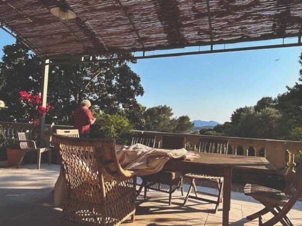 A sardine in a bottle: the quirky olive-fly trick from a Provence farm