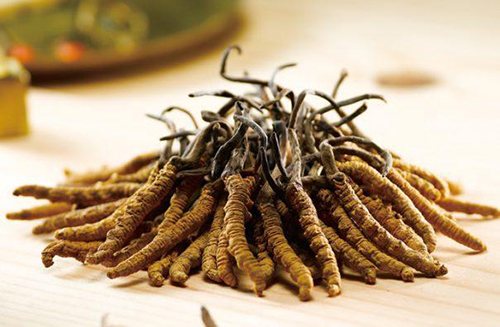 Bhutan's cordyceps collectors hold back their harvest as auction prices disappoint