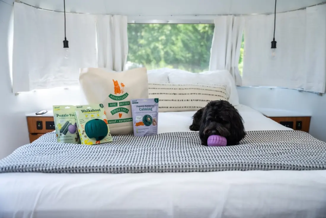 Woof x AutoCamp: Dog-Friendly Glamping With Waived Pet Fees at All Eight Properties