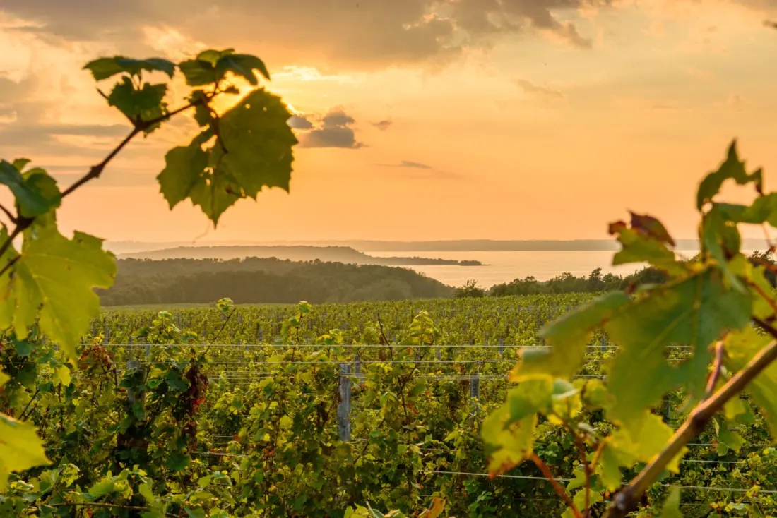 Traverse City and Beyond: Why Northern Michigan Is Having a Moment
