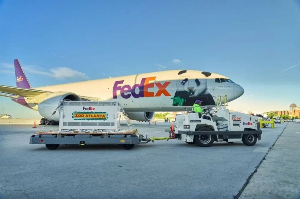 Panda Diplomacy Returns to Atlanta as Ping Ping and Fu Shuang Touch Down for a 10-Year Stay