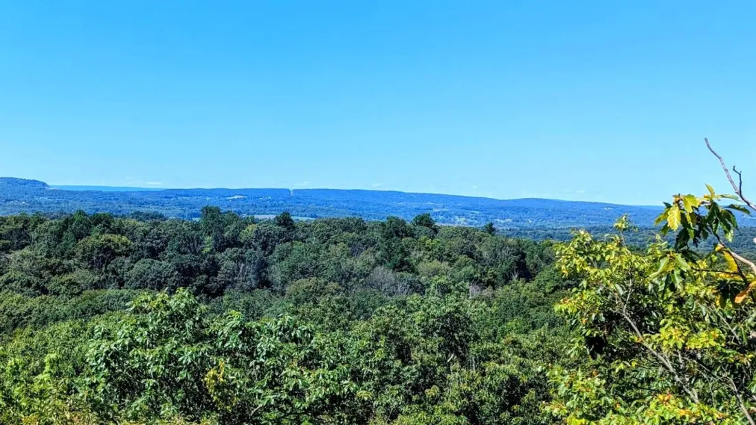 Cockaponset State Forest: Connecticut's Quiet 17,000-Acre Alternative to the White Mountains