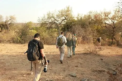 Six South African wildlife experiences that hit different on foot