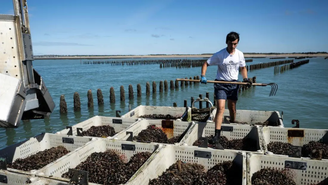 Europe's seas just had their hottest summer on record — and it's changing the coast