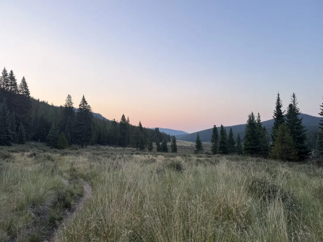 Thunder, Barbed Wire and Wildflowers: A Day on Colorado's Continental Divide Trail