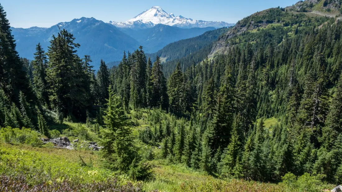 Skip the Rainier Crowds: Washington's Mount Baker-Snoqualmie National Forest Has It All