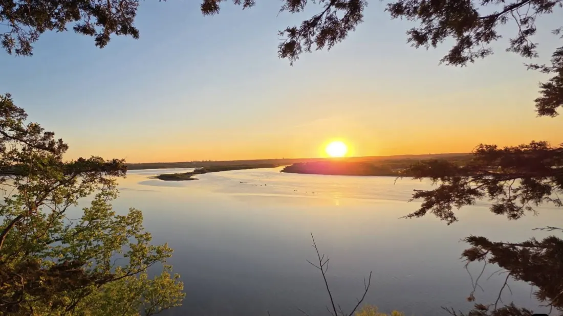 Bison, Bluffs and River Views: Spring Lake Park Reserve Is an Easy Escape From Minneapolis