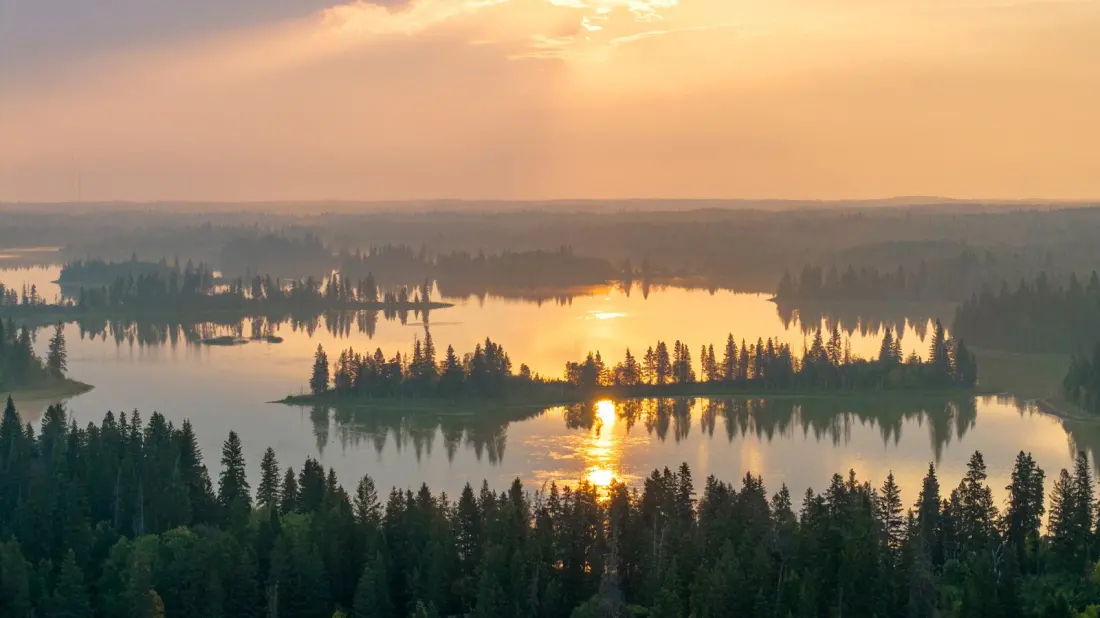 Elk Island: Alberta's Small National Park With Big Bison Energy