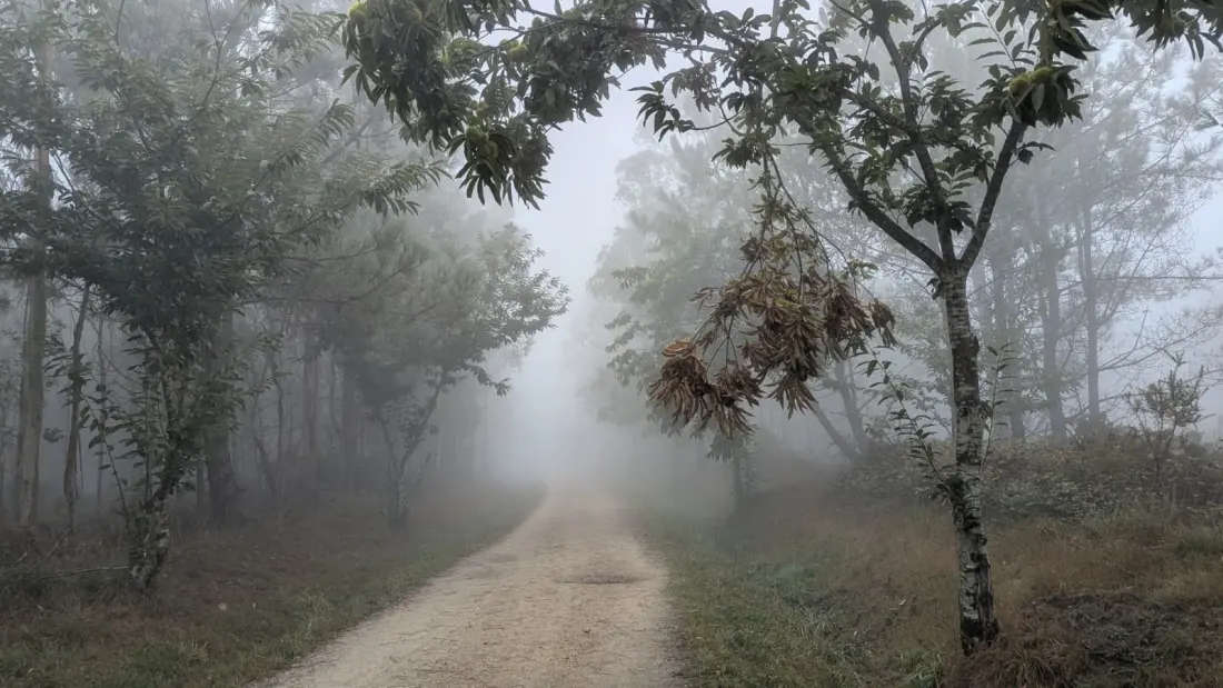 Rain, Roman Roads and Retirement Talk: Walking Spain's Camino Before the Crowds