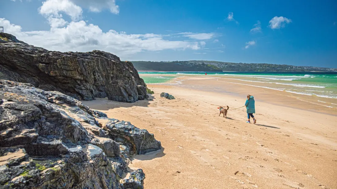 Dogs Are Back on Britain's Beaches From October 1 — Here's Where to Head