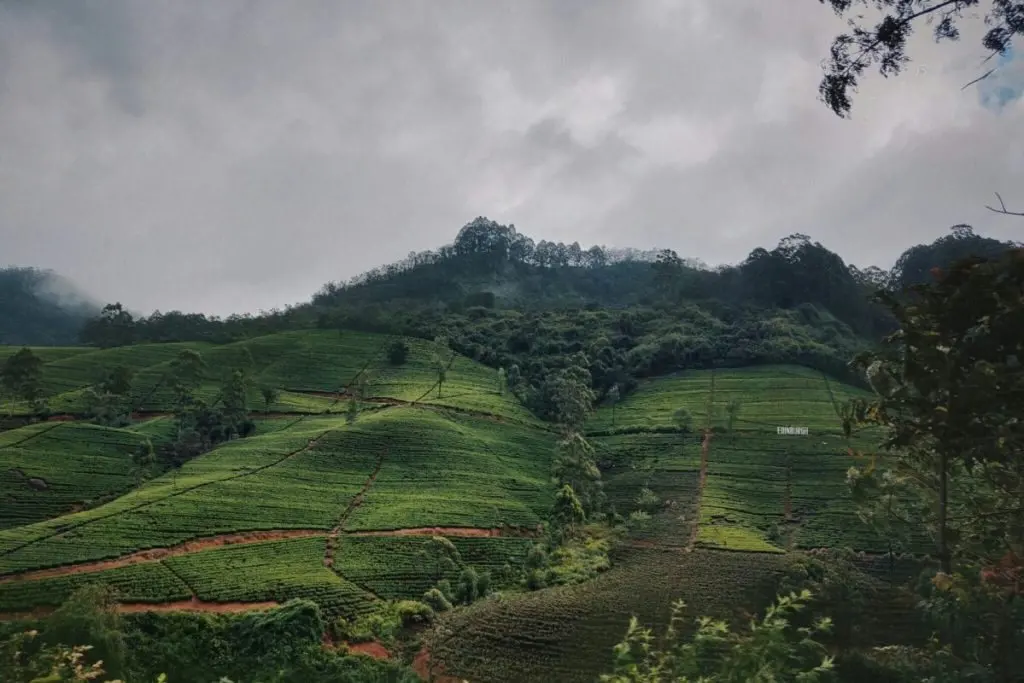 Sri Lanka Chases 3 Million Tourists — But It's Your Spend It Really Wants