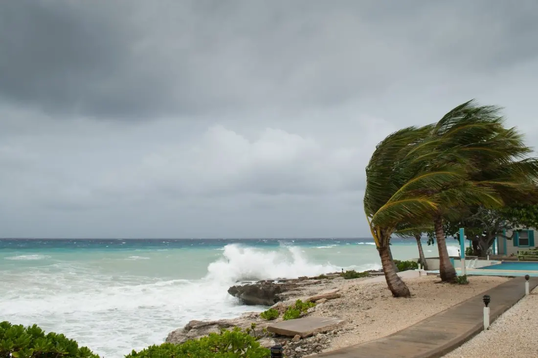 El Nino is back and it could shake up your winter holiday plans