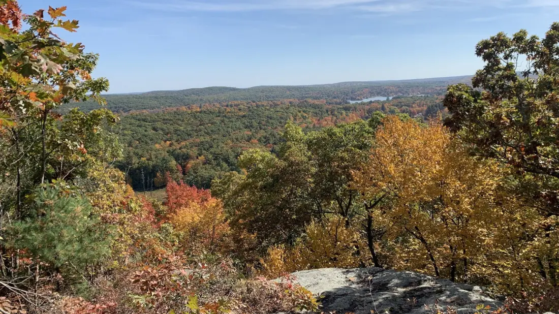 Brimfield State Forest: The Quiet Massachusetts Escape Hiding Between Springfield and Worcester