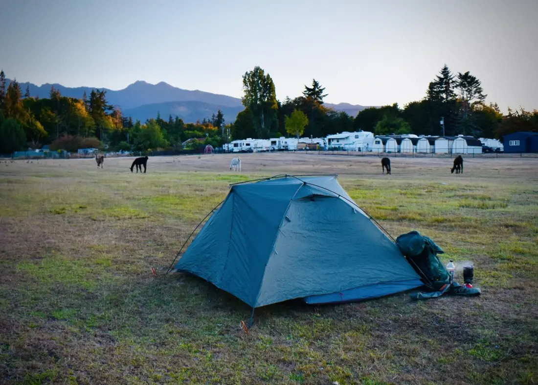 Alpacas at Camp, Snow Above and Ocean Below: A Backpacker's First 18 Hours in Olympic National Park