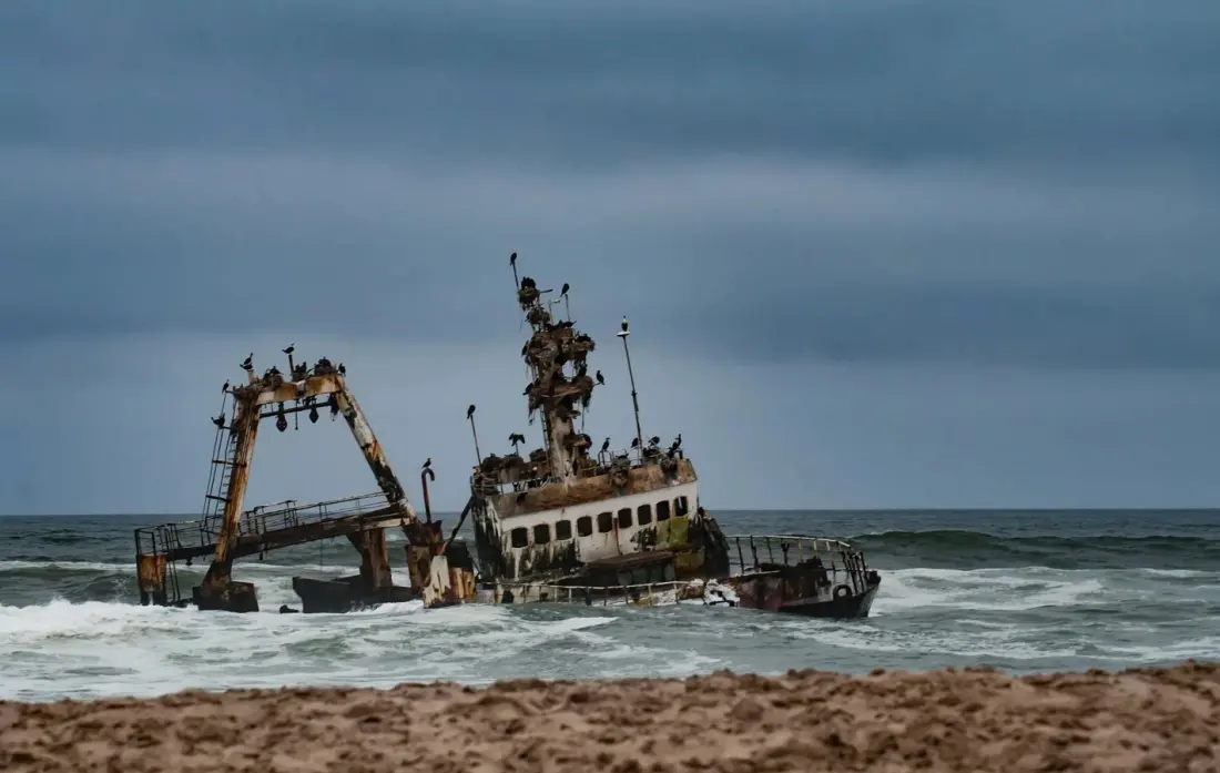 Skeleton Coast: Namibia's foggy desert shore where shipwrecks and desert lions meet