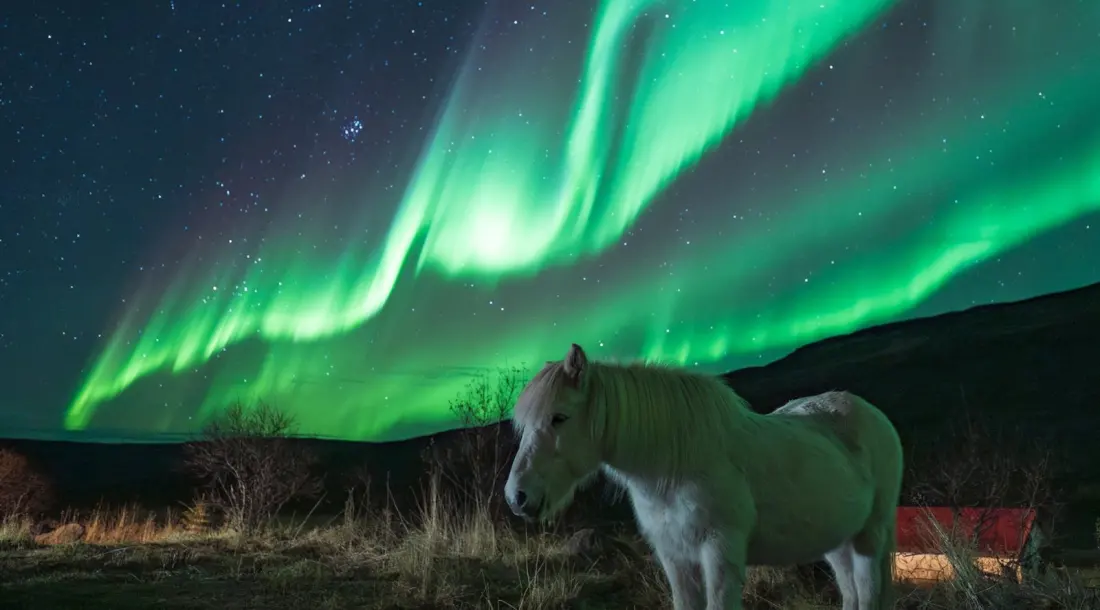 The Northern Lights Aren't Going Anywhere — But Your Chasing Strategy Should Change