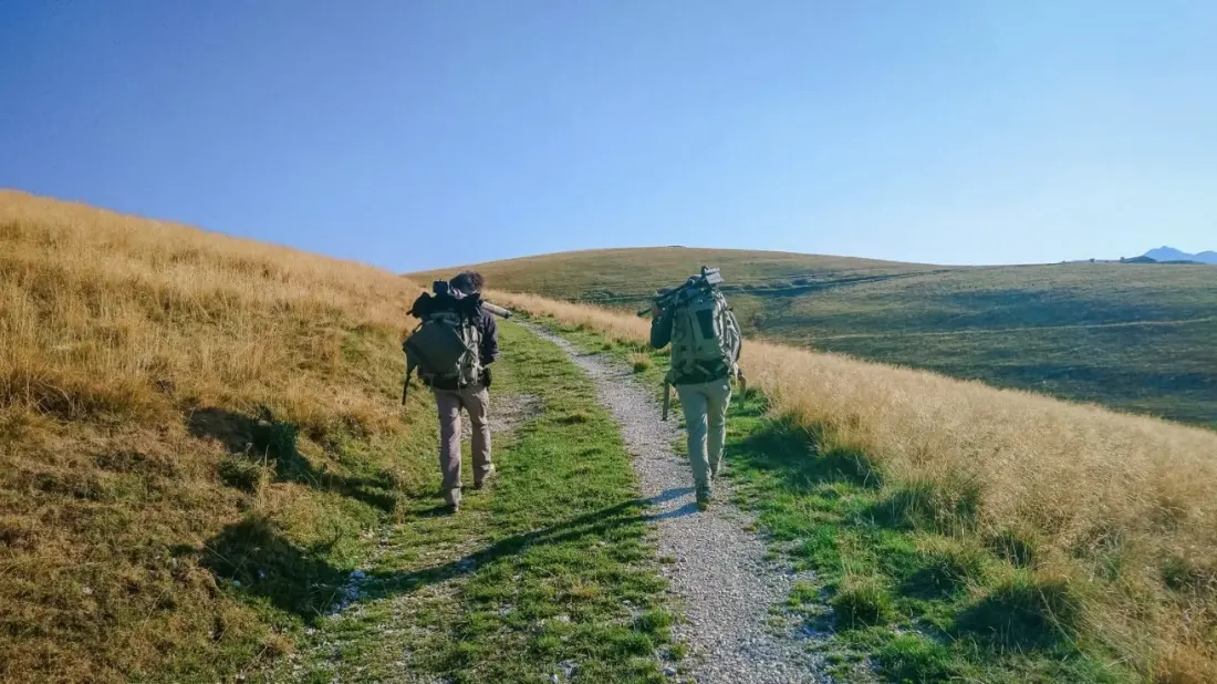 Wolves, Water Trails and a Musketeer Mystery: This Week's Adventure Stories Worth Your Time
