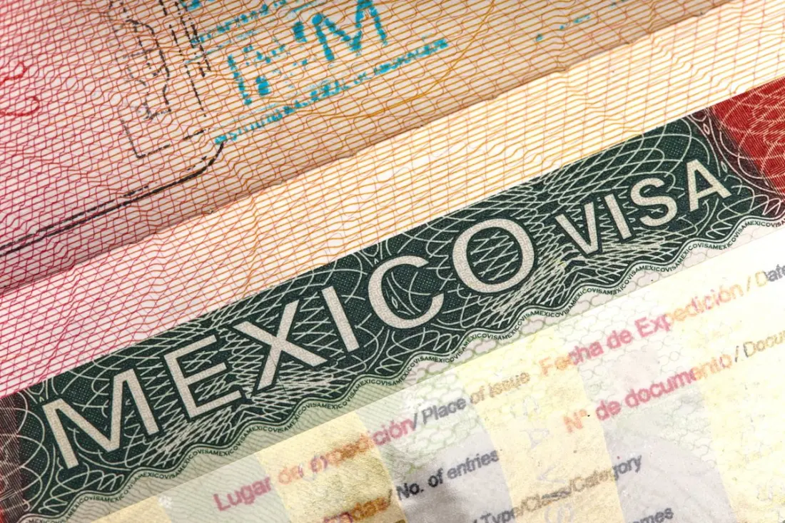 Need Help Navigating a Mexico Residency Application? Fixed-Fee Assistance Plans Explained