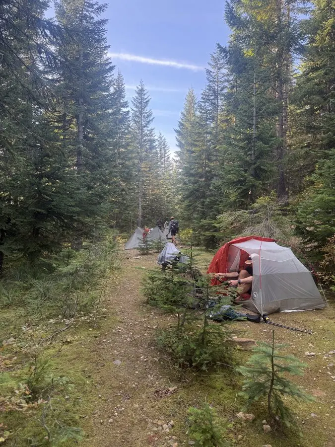 Trail Reopened at the Last Minute: A PCT Group Races to Reach Canada